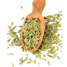 Chinese spices raw material fennel seed price